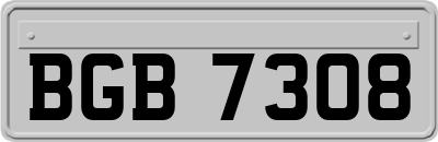 BGB7308
