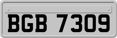 BGB7309