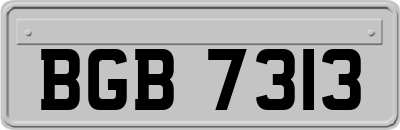 BGB7313