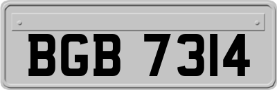BGB7314