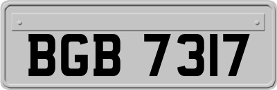 BGB7317