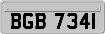 BGB7341