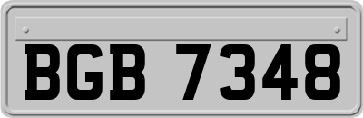 BGB7348