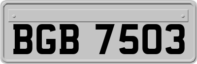 BGB7503