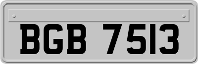 BGB7513