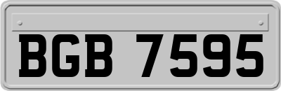 BGB7595