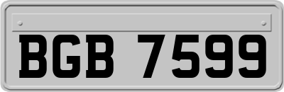 BGB7599
