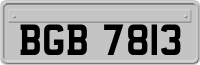 BGB7813