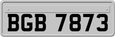 BGB7873