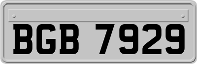 BGB7929