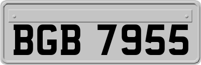 BGB7955