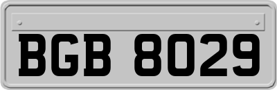 BGB8029