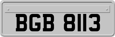 BGB8113
