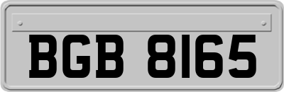 BGB8165