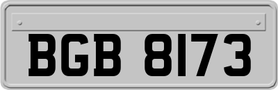 BGB8173