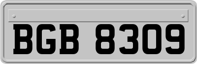 BGB8309