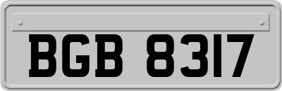 BGB8317