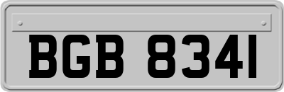 BGB8341