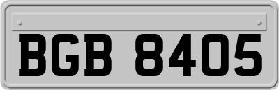 BGB8405