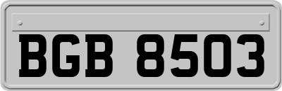 BGB8503
