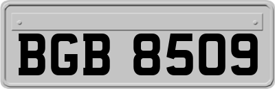 BGB8509
