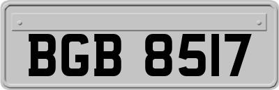 BGB8517
