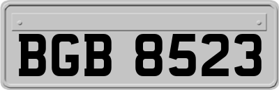 BGB8523