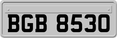 BGB8530