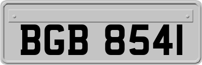 BGB8541