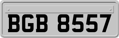 BGB8557