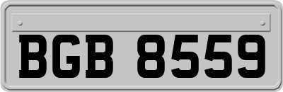 BGB8559