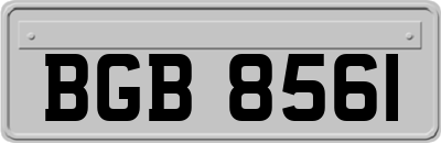 BGB8561