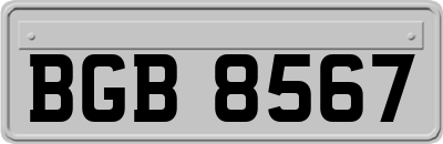 BGB8567