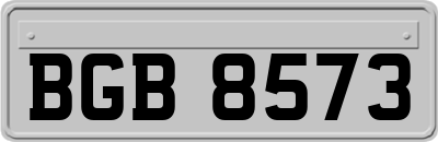 BGB8573