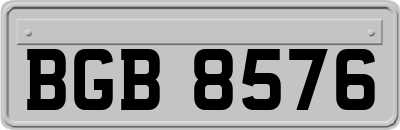BGB8576