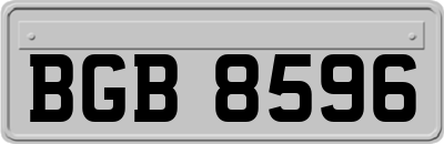BGB8596