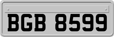 BGB8599