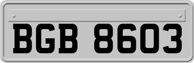 BGB8603
