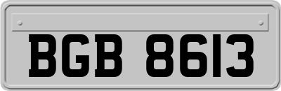 BGB8613