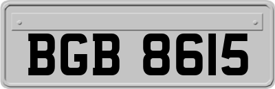 BGB8615