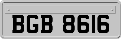 BGB8616