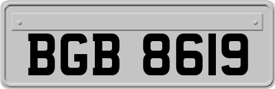 BGB8619