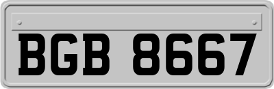 BGB8667