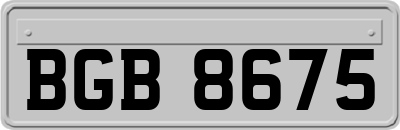 BGB8675