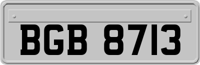 BGB8713