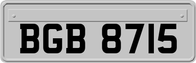 BGB8715