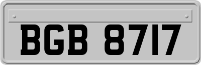 BGB8717