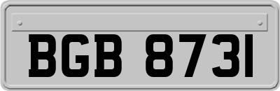 BGB8731