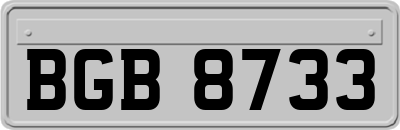 BGB8733