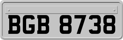BGB8738